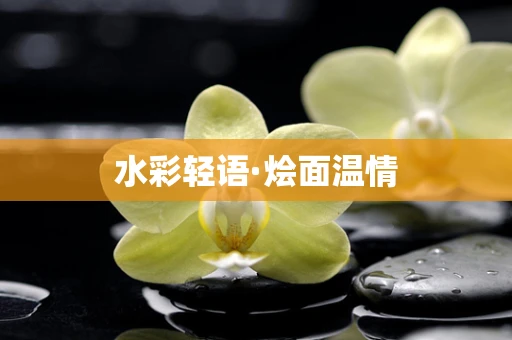 水彩轻语·烩面温情
