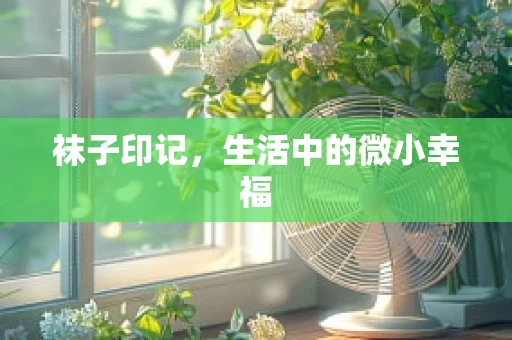 袜子印记，生活中的微小幸福