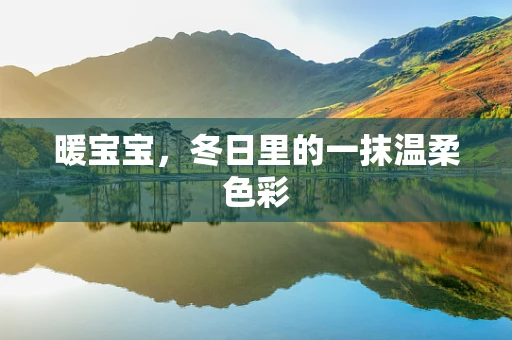 暖宝宝，冬日里的一抹温柔色彩
