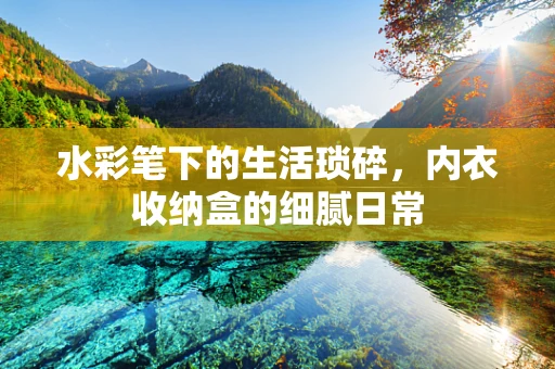 水彩笔下的生活琐碎，内衣收纳盒的细腻日常