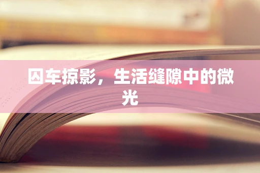 囚车掠影，生活缝隙中的微光