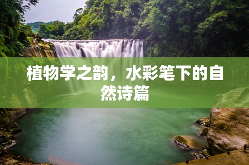 植物学之韵，水彩笔下的自然诗篇