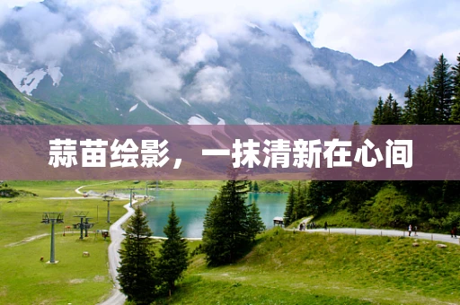蒜苗绘影，一抹清新在心间