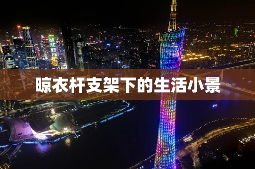 晾衣杆支架下的生活小景