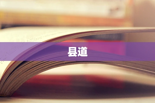 县道
