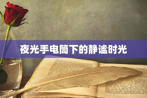 夜光手电筒下的静谧时光
