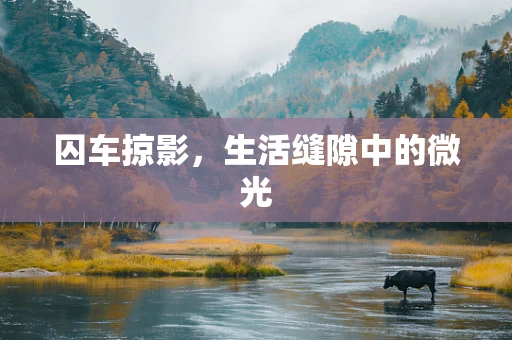 囚车掠影，生活缝隙中的微光