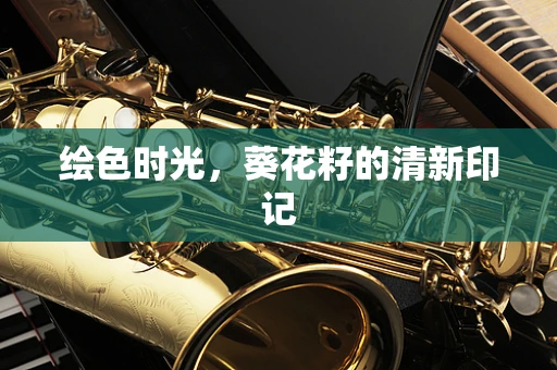 绘色时光，葵花籽的清新印记