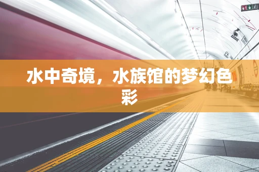 水中奇境，水族馆的梦幻色彩