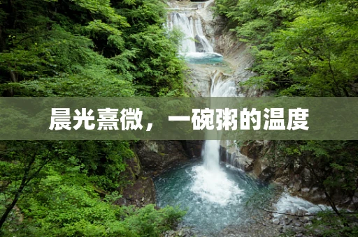 晨光熹微，一碗粥的温度