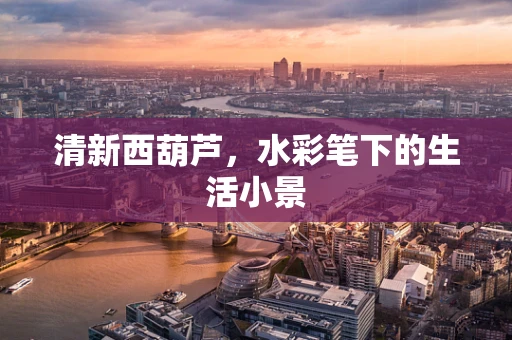 清新西葫芦，水彩笔下的生活小景
