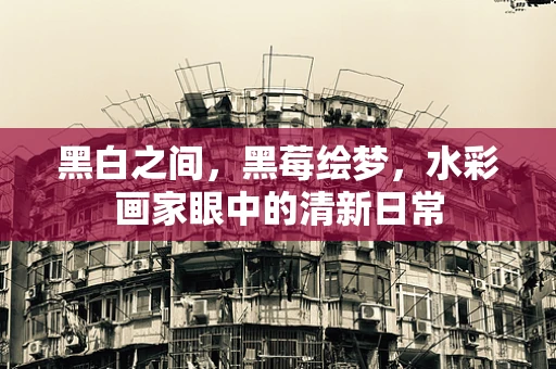 黑白之间，黑莓绘梦，水彩画家眼中的清新日常