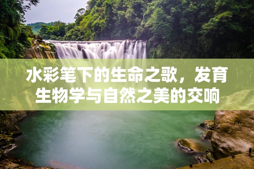 水彩笔下的生命之歌，发育生物学与自然之美的交响