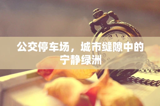 公交停车场，城市缝隙中的宁静绿洲