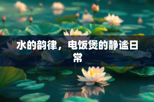水的韵律，电饭煲的静谧日常