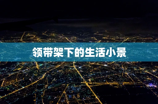 领带架下的生活小景