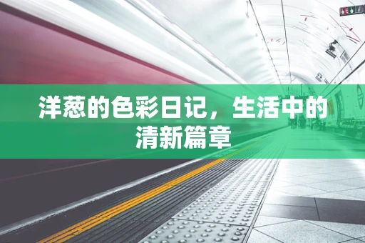 洋葱的色彩日记，生活中的清新篇章