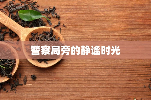 警察局旁的静谧时光