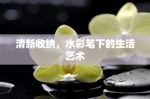清新收纳，水彩笔下的生活艺术