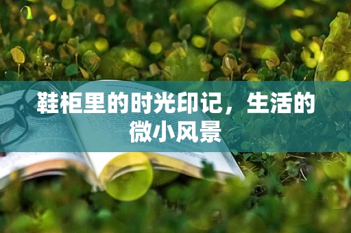 鞋柜里的时光印记，生活的微小风景