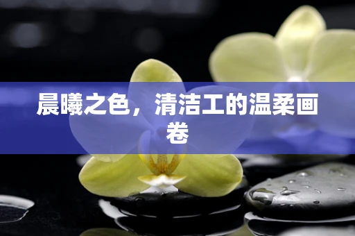 晨曦之色，清洁工的温柔画卷
