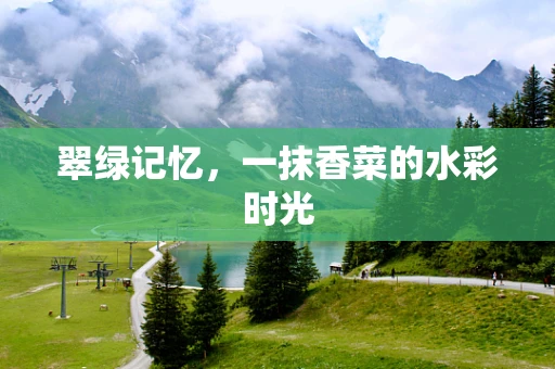 翠绿记忆，一抹香菜的水彩时光