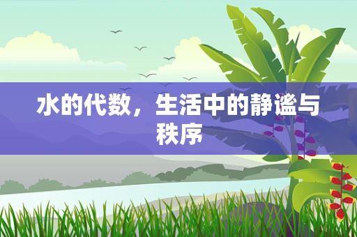 水的代数，生活中的静谧与秩序