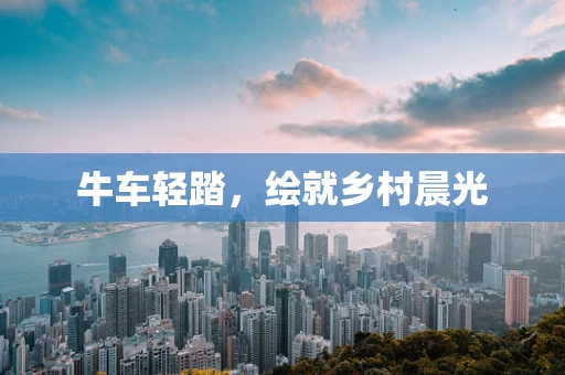 牛车轻踏，绘就乡村晨光