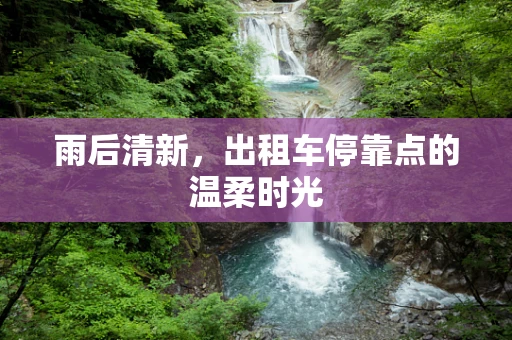 雨后清新，出租车停靠点的温柔时光