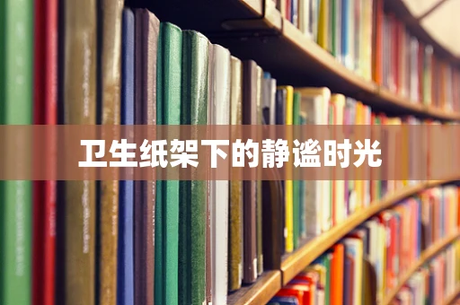 卫生纸架下的静谧时光