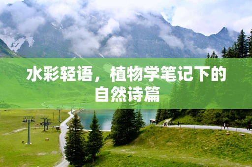水彩轻语，植物学笔记下的自然诗篇