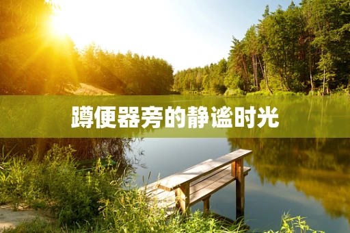 蹲便器旁的静谧时光