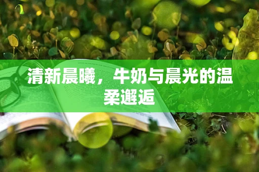 清新晨曦，牛奶与晨光的温柔邂逅