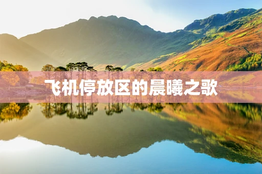 飞机停放区的晨曦之歌