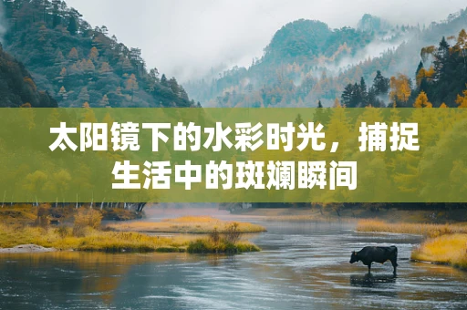 太阳镜下的水彩时光，捕捉生活中的斑斓瞬间