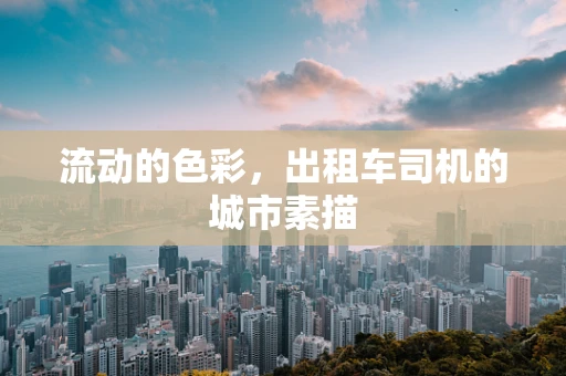 流动的色彩，出租车司机的城市素描