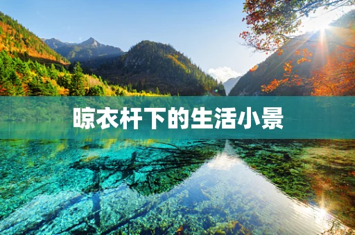 晾衣杆下的生活小景