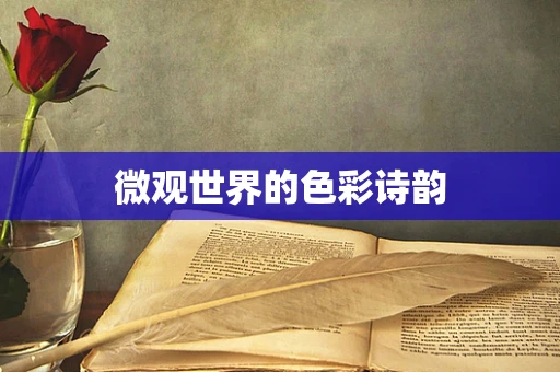 微观世界的色彩诗韵