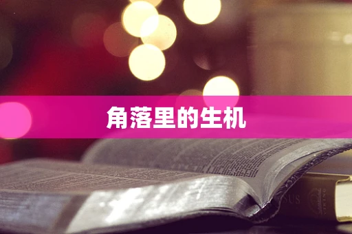 角落里的生机