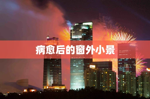 病愈后的窗外小景