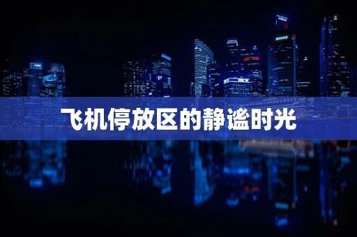 飞机停放区的静谧时光