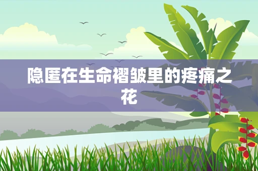 隐匿在生命褶皱里的疼痛之花