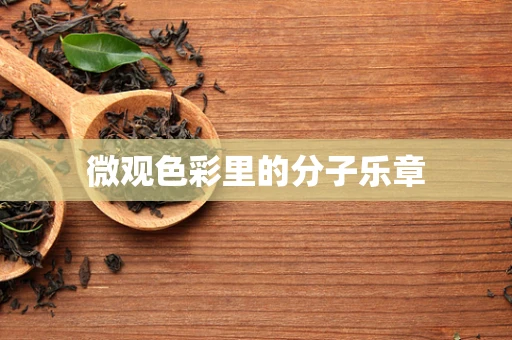 微观色彩里的分子乐章