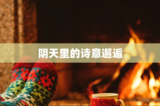 阴天里的诗意邂逅