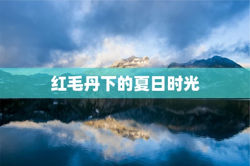 红毛丹下的夏日时光
