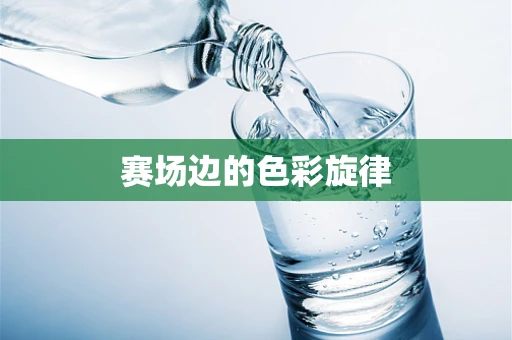 赛场边的色彩旋律