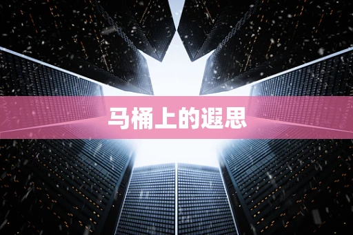 马桶上的遐思