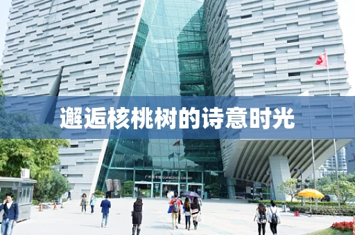 邂逅核桃树的诗意时光