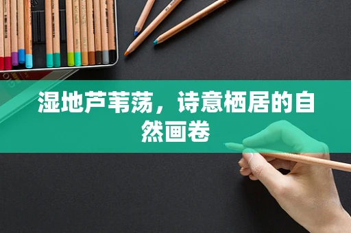 湿地芦苇荡，诗意栖居的自然画卷