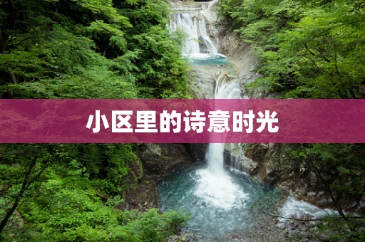 小区里的诗意时光